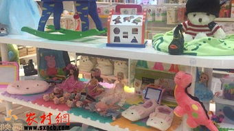 掘金乡野新蓝海 三大农村创业项目，玩具技术开发与销售引领风潮